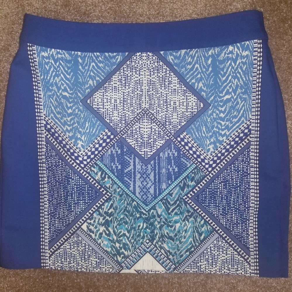 H&M skirt